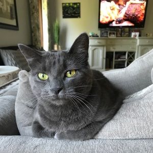 Meet your Posher, Alyssa